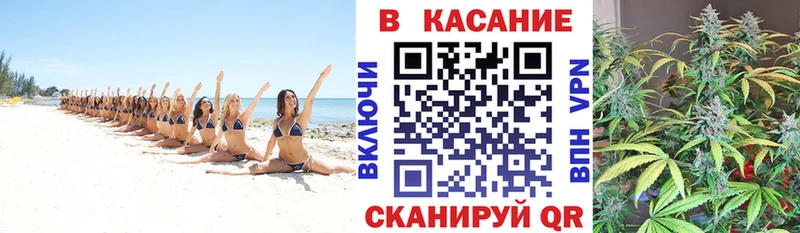 Все наркотики Питкяранта A PVP  Меф  Гашиш  Кокаин 
