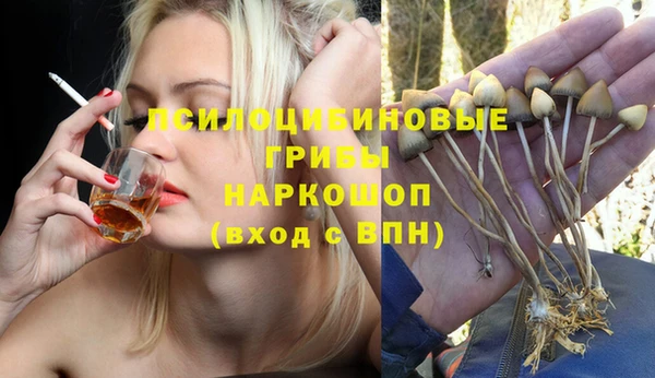 мяу мяу мука Ельня
