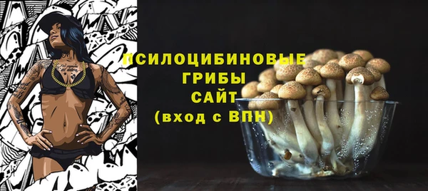 мяу мяу мука Ельня